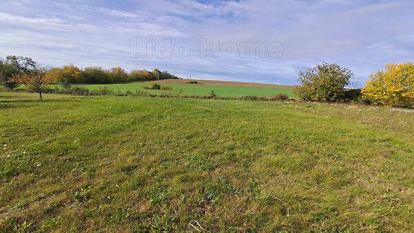 Szőlősgyörök képe