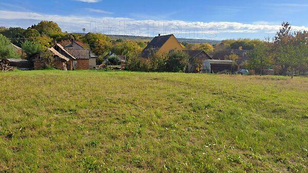 Szőlősgyörök 3. képe