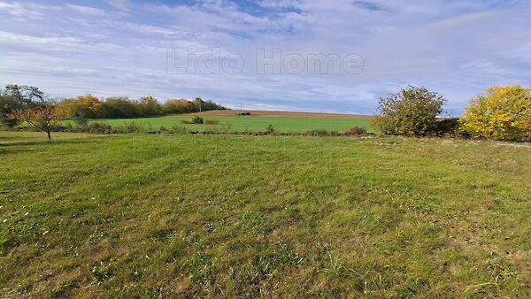 Szőlősgyörök 2. képe