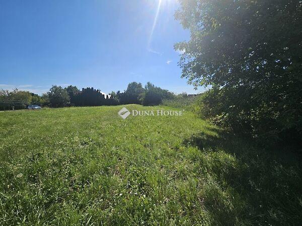 Levendula, Vámosszabadi 3. képe