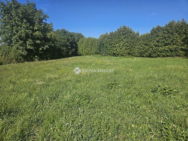 Levendula, Vámosszabadi 2. képe