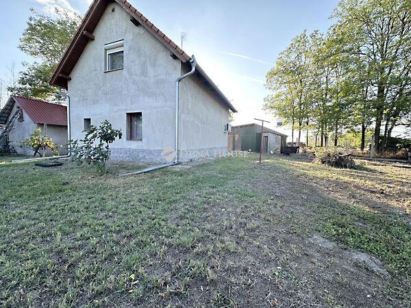 Szentkirály 2. képe