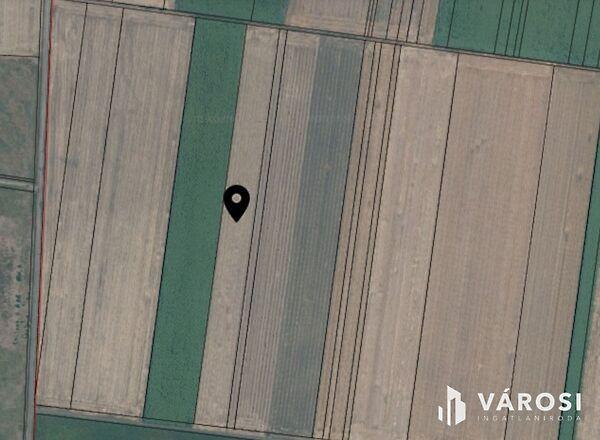 Nagyszénás 2. képe