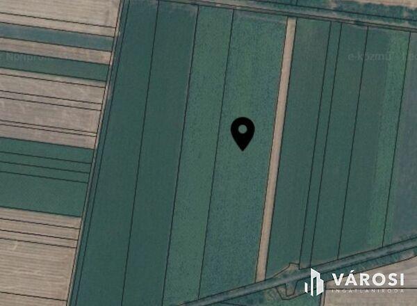 Nagyszénás 2. képe