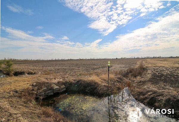 Nagyszénás 3. képe