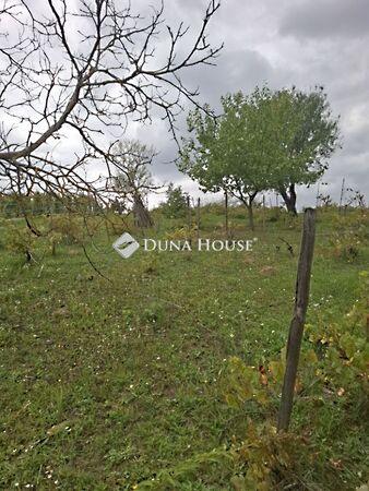 Kákavölgy, Lovasberény 3. képe