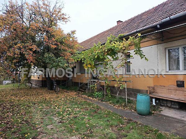 Szentistván 3. képe