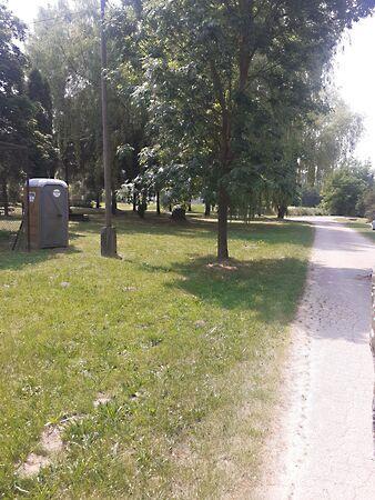 Kossuth, Szágy képe