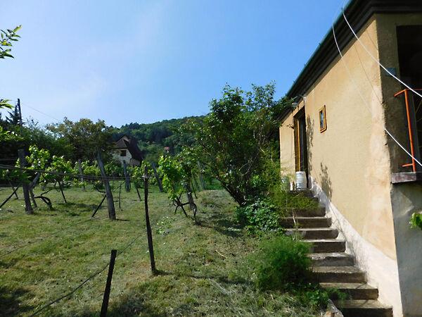 Középgyükési, Pécs 3. képe