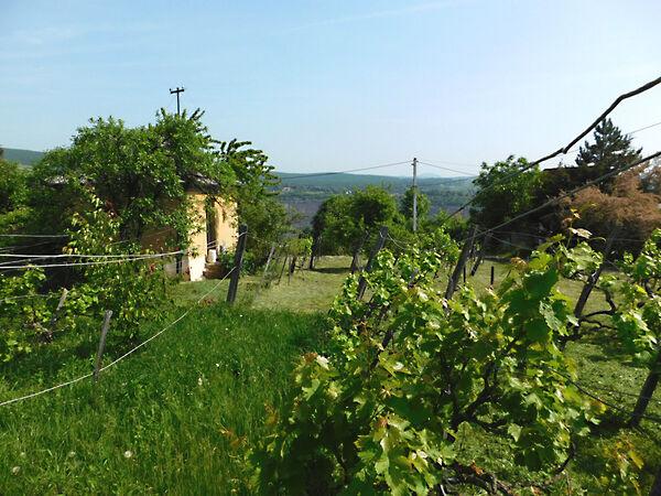 Középgyükési, Pécs képe