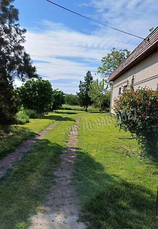 Trófea, Békéscsaba 2. képe