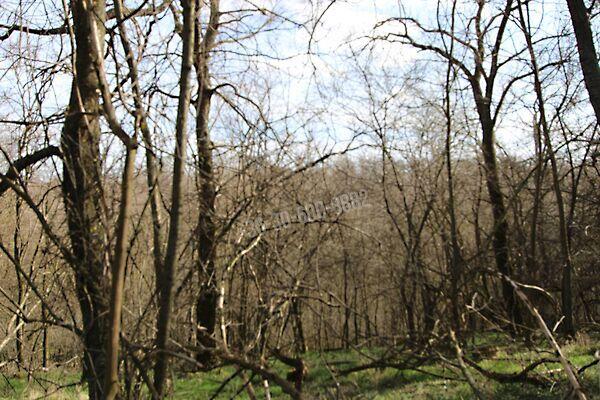 Iregszemcse 2. képe