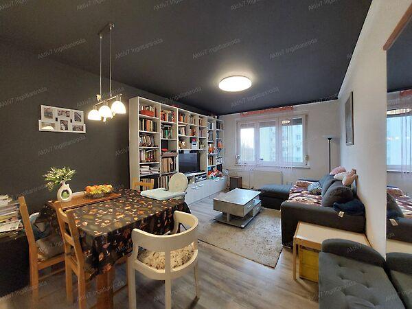 Hont Ferenc, Szeged képe