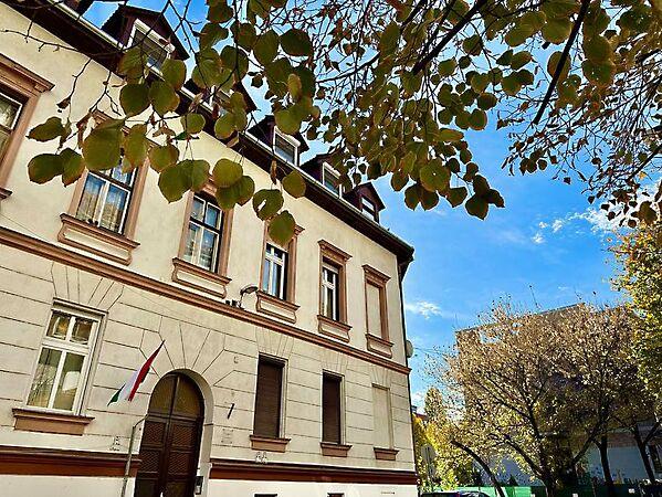 Medve, Budapest, II. kerület képe