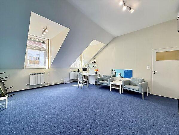 Medve, Budapest, II. kerület 2. képe