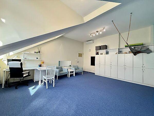 Medve, Budapest, II. kerület 3. képe