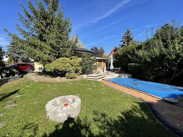 Áfonya, Szentendre 2. képe