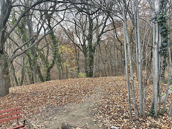 Budapest, XII. kerület 2. képe