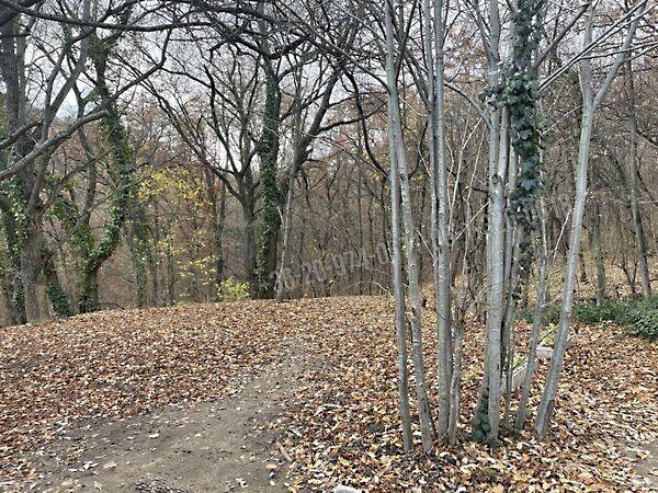 Nagykapos, Budapest, XII. kerület képe