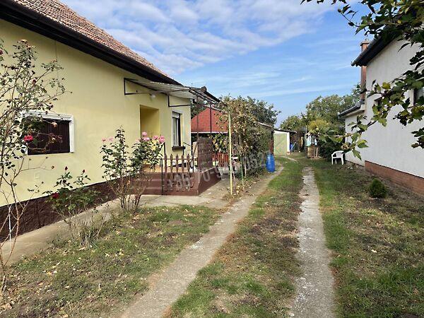 Szabadkígyós 2. képe