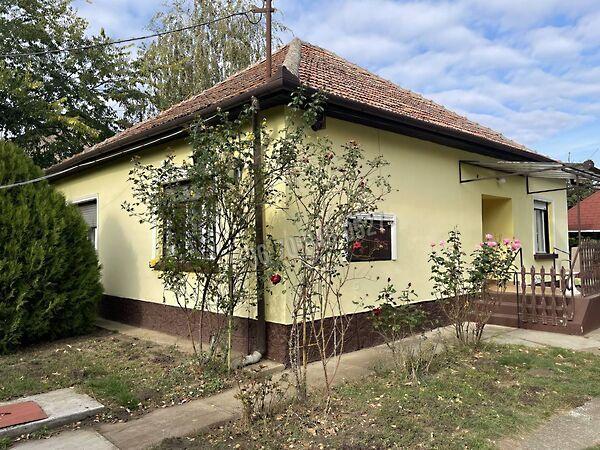 Szabadkígyós 3. képe