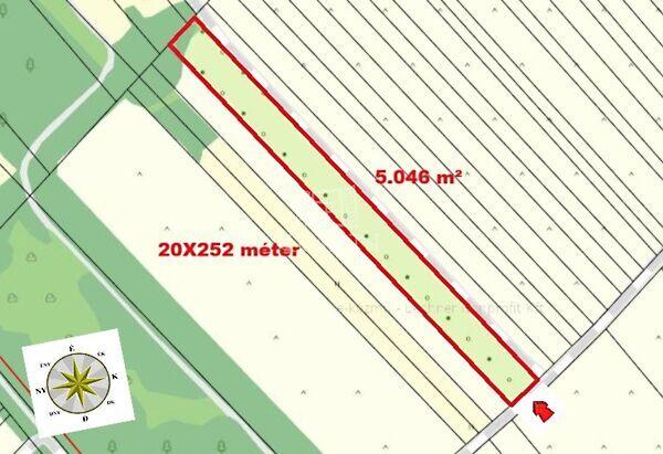 BIRSALMA, Péteri 2. képe