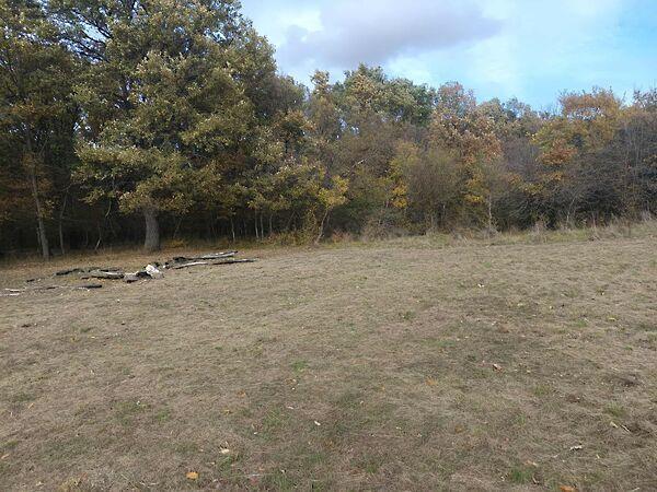 Vértesszőlős 2. képe