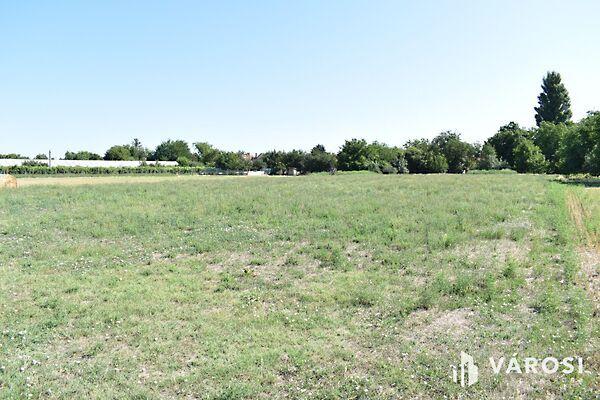 Békéscsaba, Békéscsaba 2. képe