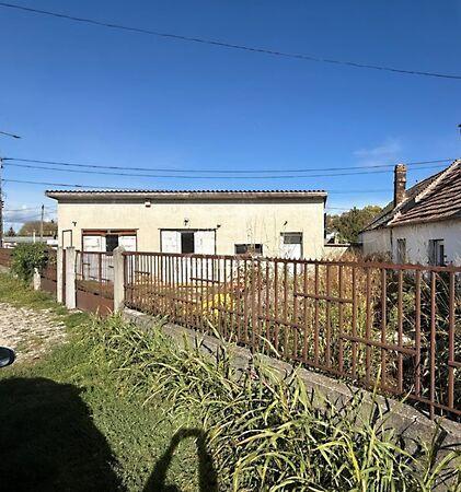 Bodrogi Zsigmond, Székesfehérvár képe