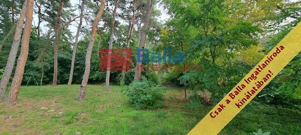 Bethlen Gábor, Balatonfenyves 2. képe