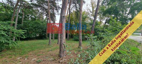 Bethlen Gábor, Balatonfenyves 3. képe