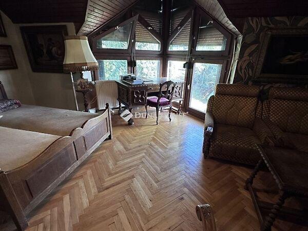 Angster József, Pécs képe