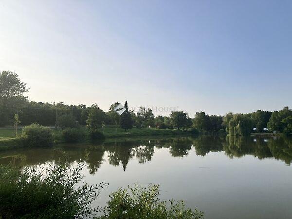 Rákóczi Ferenc, Boda képe