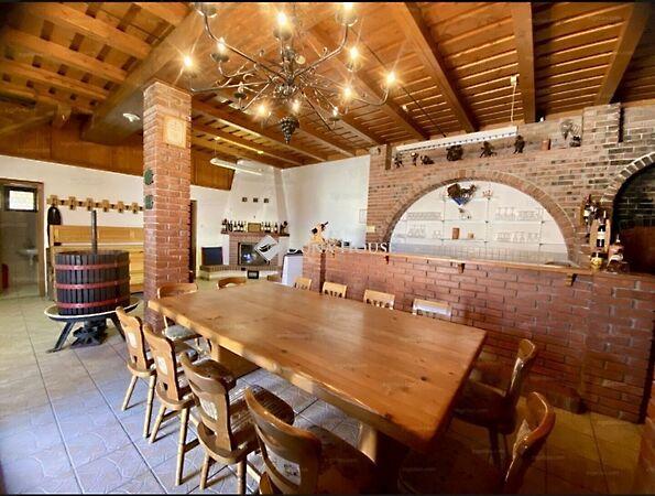 Kossuth Lajos, Villány 2. képe