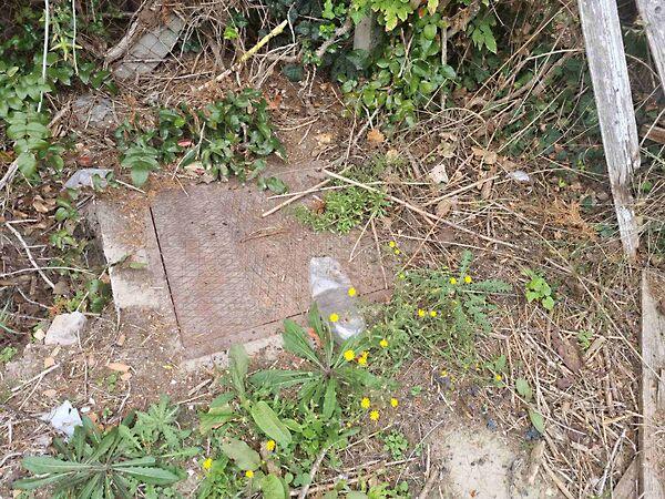 Balatonkenese 3. képe