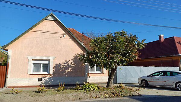 Zrínyi Miklós, Dabas képe