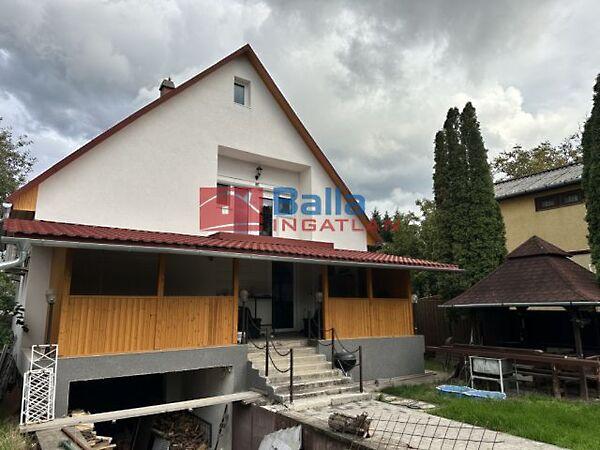 Csendes, Délegyháza 2. képe