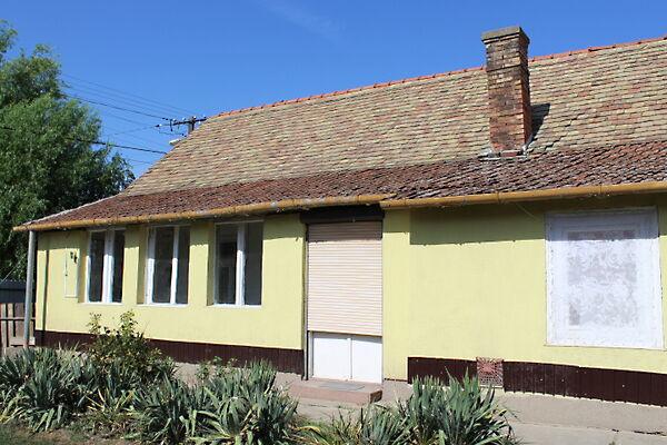 Zagyvarékas 2. képe