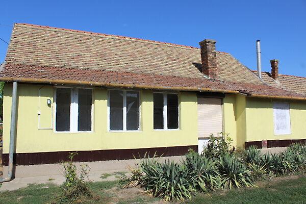 Zagyvarékas 3. képe