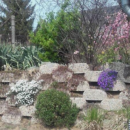 Béke, Erdőkertes 2. képe