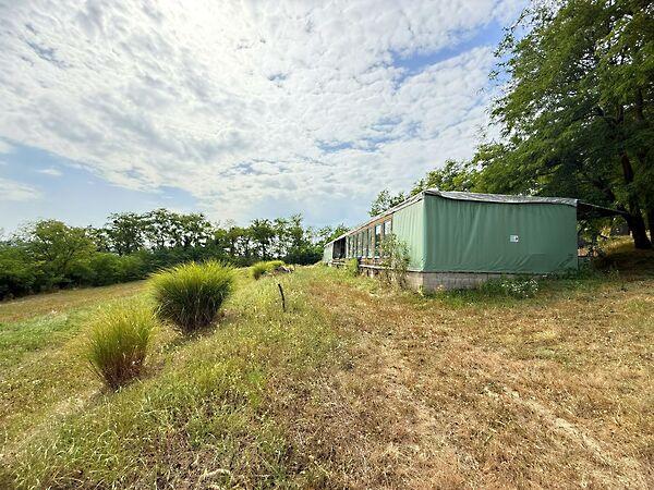 Kehidakustány 2. képe