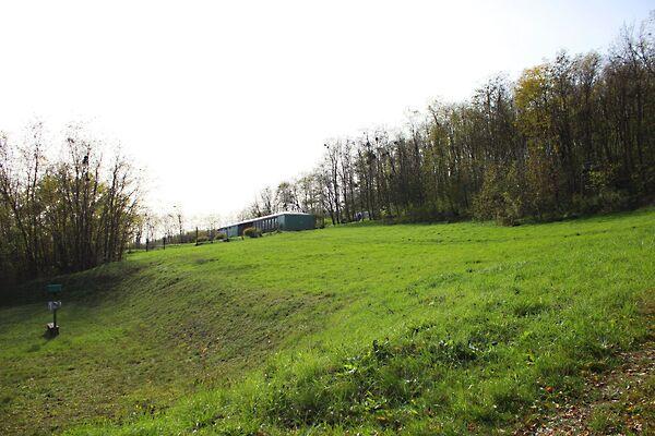 Kehidakustány 3. képe