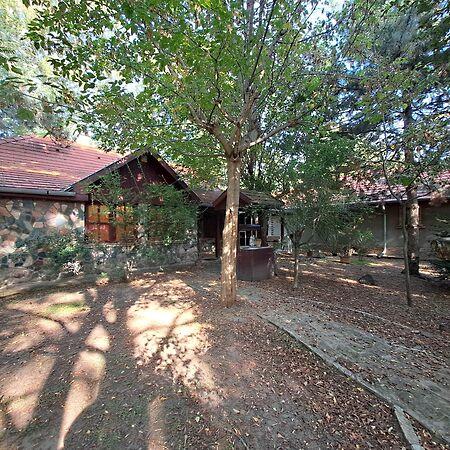 Judit Ingatlan és, Monorierdő képe