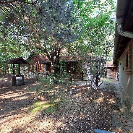 Judit Ingatlan és, Monorierdő 2. képe