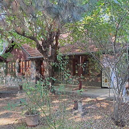 Judit Ingatlan és, Monorierdő 3. képe