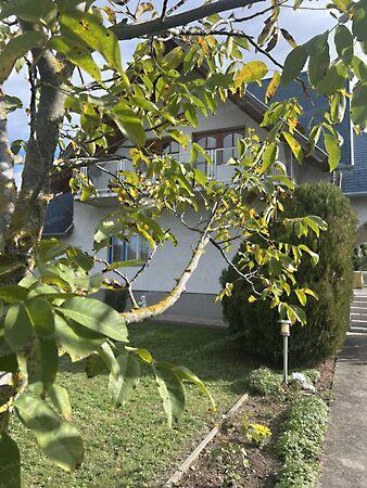 Gyenesdiás 2. képe