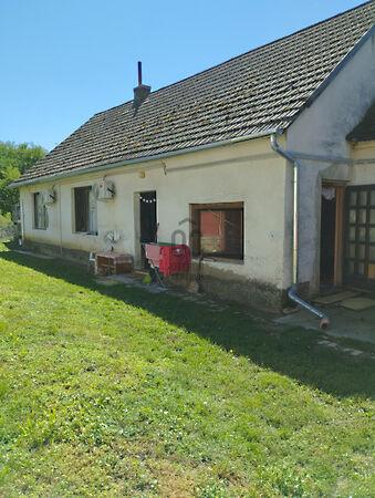 Pápateszér 2. képe