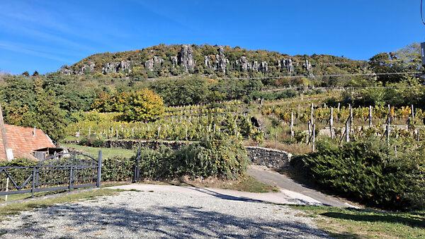 Badacsonytördemic 3. képe