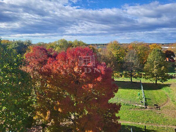 Patak parti, parkra néző, Szombathely 2. képe