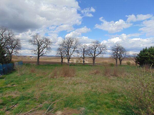 Herceghalom 3. képe